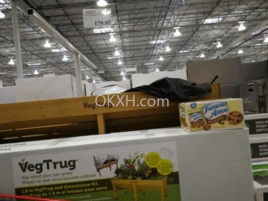 IMG_20180430_195516 (550x413)
