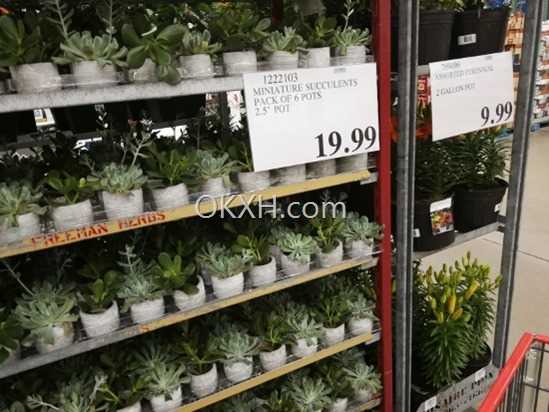 IMG_20180618_141844 (550x413) IMG_20180618_141844 (550x413)